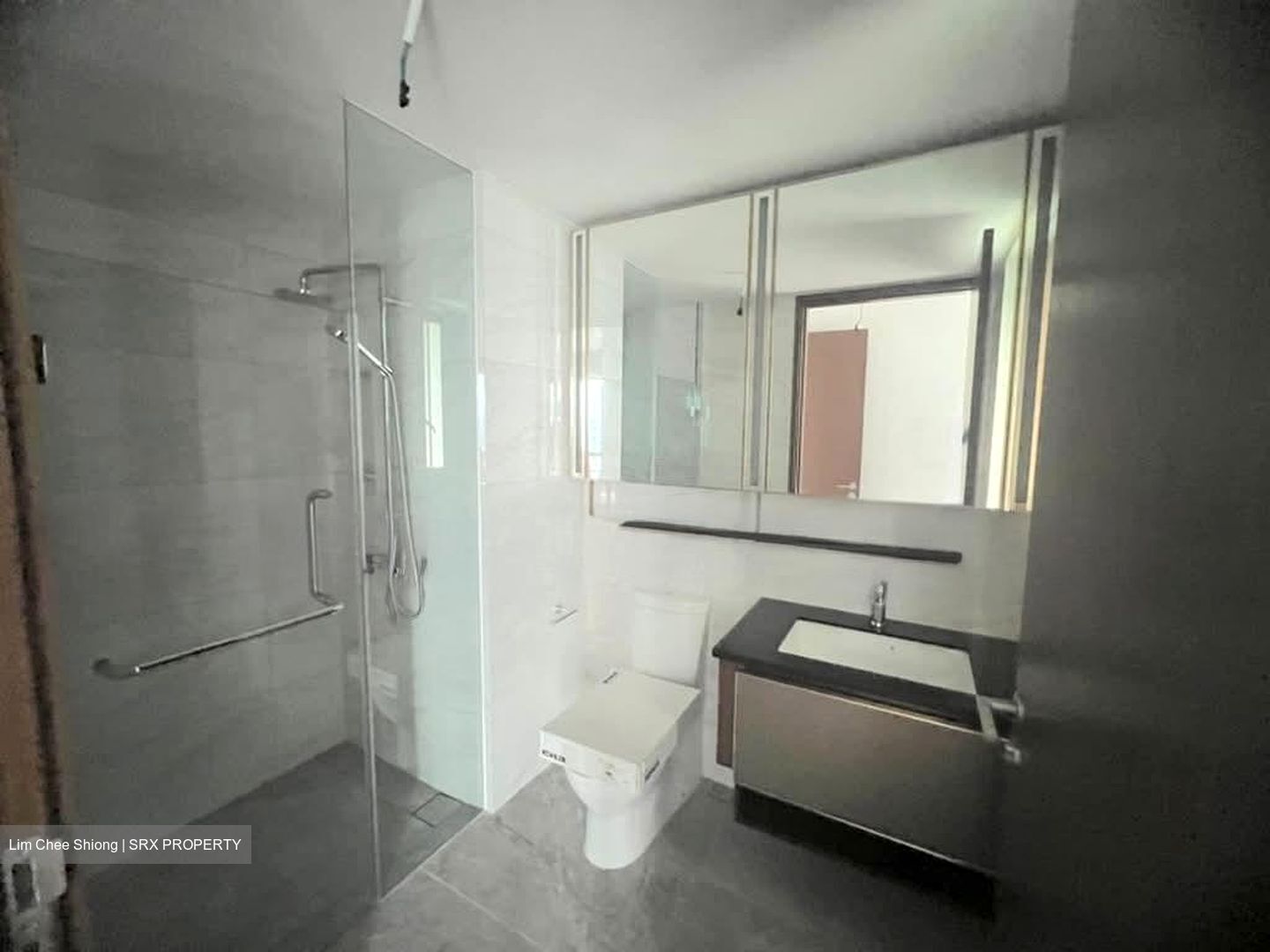 Normanton Park (D5), Apartment #601026761